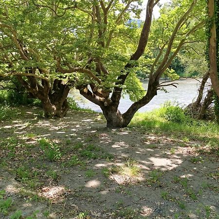 Bourazani Wild Life Resort Konitsa Exterior foto