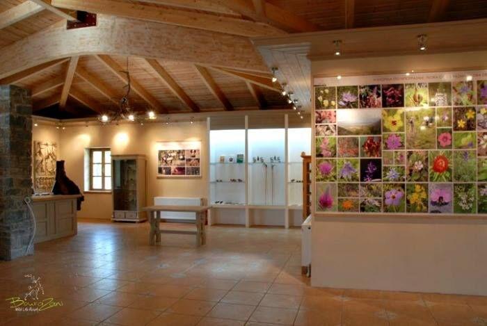 Bourazani Wild Life Resort Konitsa Exterior foto